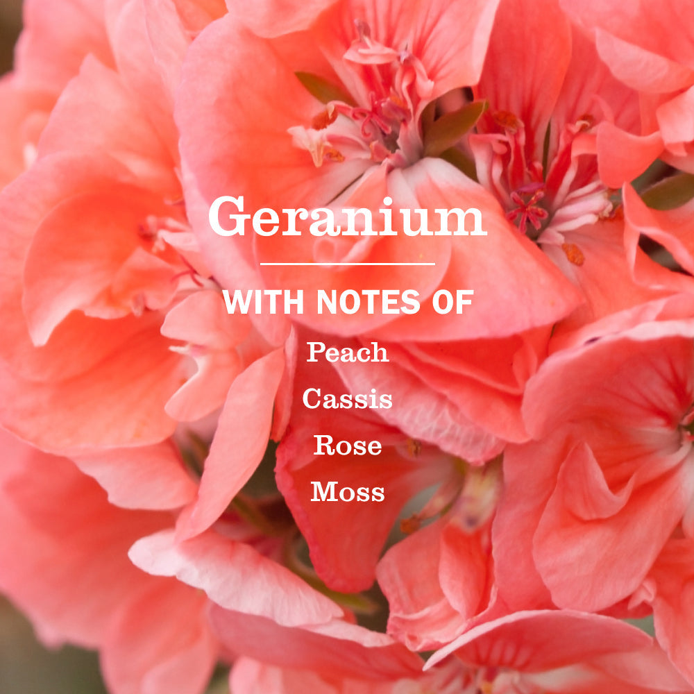 Mrs. Meyer's Geranium Dish Soap