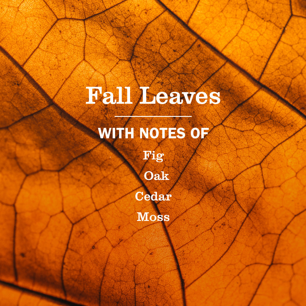 Mrs. Meyer's Fall Leaves Multi-Surface Everyday Cleaner