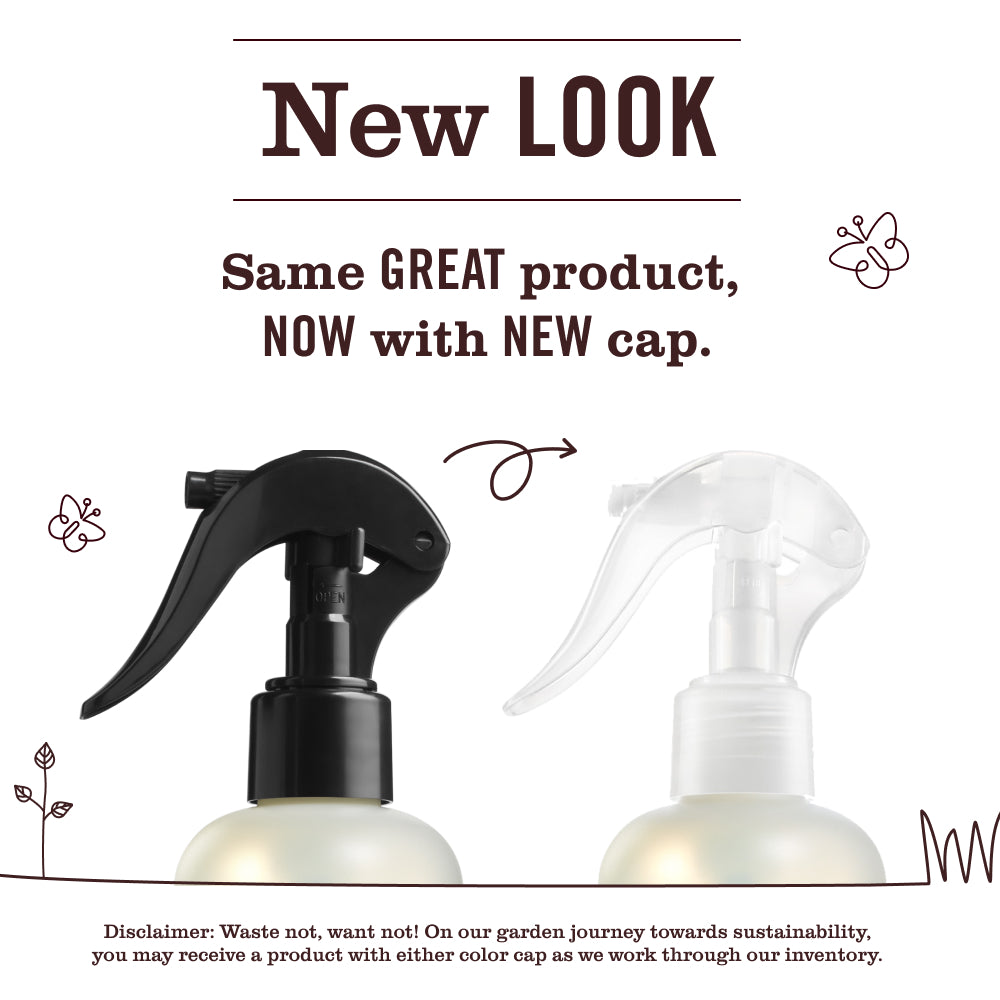 Dandelion Room Freshener